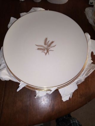 Set Of 4 Dinner Plates Lenox Wheat China R - 442 10 3/8 " Gold Trim