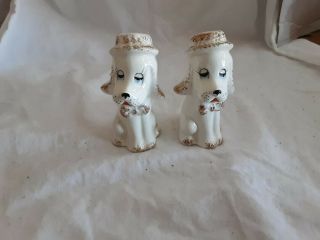 Vintage Porcelain White/gold Poodle Salt An Pepper Shakers With Hats And Bowties