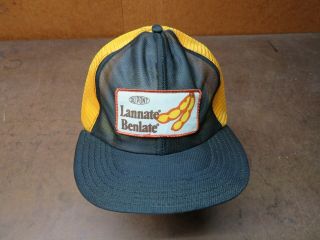 Vintage Mesh Dupont Lannate Benlate Soybeans Snapback Hat Trucker Farm Patch Cap