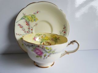 Paragon Yellow Parakeet 1930 Princess Margaret Vintage Tea Cup And Saucer Set