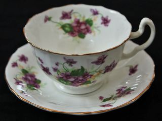 Vintage Adderley English Fine Bone China Tea Cup & Saucer Set Violet Flowers