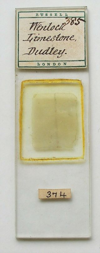 Antique Russell Microscope Slide,  Of Section Wenlock Limestone,  Dudley