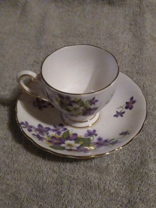 Antique Woodland Violet Royal Tuscan Fine Bone China Teacup/saucer