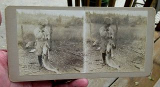 Antique Ca 1890 Little Boy With Huge Northern Pike Fish Real Photo Stereoview