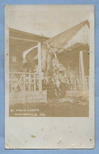 Vintage Maine Postcard St Froid Camps Winterville Me Deer Hunting 3 Deer Photo