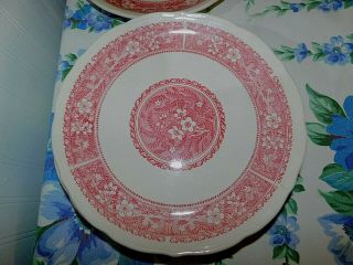 6 Syracuse China Econo Rim Strawberry Hill China Dinner Plates (n94b) S4e