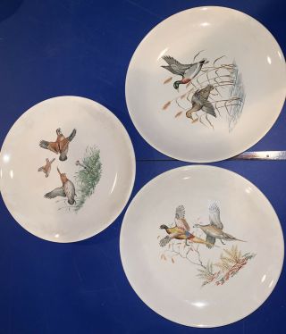 3 Villeroy & Boch Gamebirds 9 Inch Dinner Plates Mallard Ducks Pheasants Quail