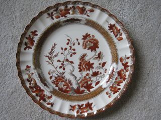 Spode Indian Tree Dinner Plate,  England 10 1/4 "