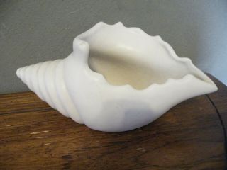 Vintage Van Briggle Art Pottery 9 " Conch Shell/seashell Vase/planter/bowl