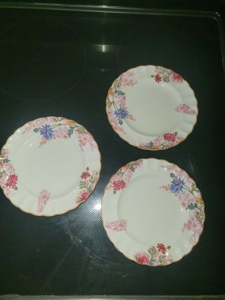 3 Copeland Spode Chelsea Gardens R9781 Bread And Butter Plates