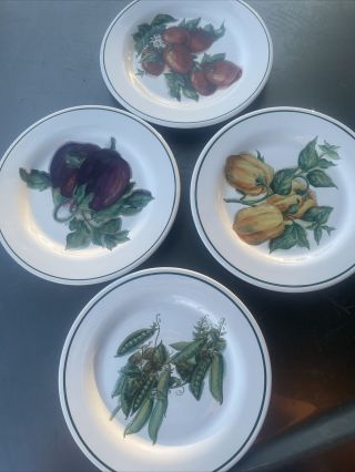 Set Of 4 Williams Sonoma Harvest Vegetable 8 1/2 " Salad Plates