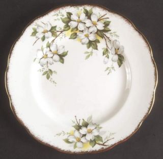 Royal Albert White Dogwood (brushed Gold Grim Dessert Pie Plate 1887137