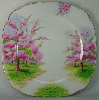 Royal Albert China Blossom Time Pattern Square Dinner Plate - 9 - 5/8 "