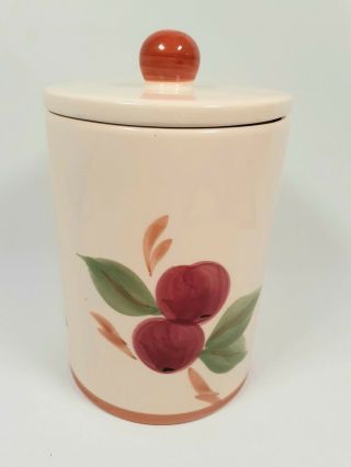 Franciscan Apple Pattern 6 1/2 " High Medium Canister And Lid Made In Portugal