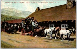Vintage 1908 Yellowstone National Park Postcard " 6 - Horse Tally - Ho " Stage Coach