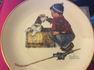 Vintage Norman Rockwell A Boy Meets His Dog Porcelain Collectors Plate 11”