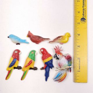 7 Vintage Refrigerator Magnets Birds Colorful Exotic Parrots Plastic Metal 3