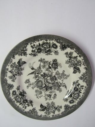 Royal Stafford Asiatic Pheasant 8 1/2 " Black And White Salad Plate