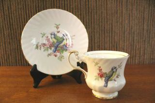 Queen ' s Rosina Teacup & Saucer Set - Birds of America Goldfinch Fine Bone China 2