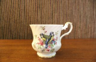 Queen ' s Rosina Teacup & Saucer Set - Birds of America Goldfinch Fine Bone China 3