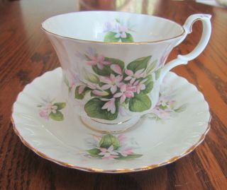 Vintage Royal Albert Tea Cup & Saucer Pink Phlox Flowers England