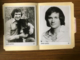 David Gates Celebrity Vintage Photos