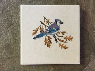 Vintage Dal Tile Mexico Blue Jay Bird Oak Tree Leaves Branch Ceramic Tile Trivet