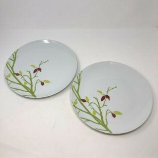 Seasons Changing By Rachael Ray Dinner Plates Set Of 2