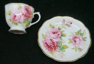 Vintage Royal Albert English Bone China Tea Cup & Saucer Set,  American Beauty