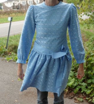 Vintage Peter Pan Wendy Darling Blue Dress Cosplay Costume Women Girls Hand Made