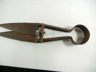 Antique / Vintage Sheep Shears Horse Mane Clippers 8098 I117