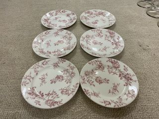 Set Of 7 Salad Plates - Antique Rose Pink By Churchill England 8 "