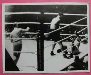 Vintage Upi Boxing Photo: Jack Dempsey V Gene Tunney " Long Count "