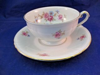 Antique Porcelain Tea Cup And Saucer - Bavaria Germany - " Winterling "