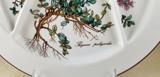 Villeroy & Boch Botanica Thymus Sectioned Fondue Plate - Luxembourg - 9 3/4 