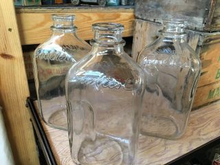 3 Vintage Half Gallon Milk Bottles Sealtest Dairy Likely Michigan Bottle