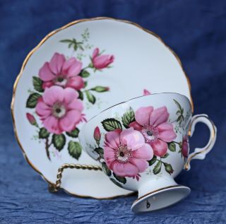 Vintage Royal Seagrave Tea Cup Saucer Pink Wild Rose Floral Bone China England