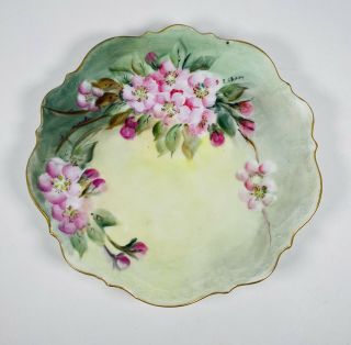 Vintage Germany Floral Hand Painted Plate Pink Buds & Blossoms C.  T.  Atwasser