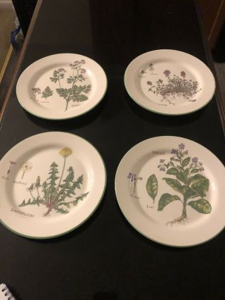 Williams - Sonoma Culinary Herbs Set Of (4) 8 7/8 " Luncheon Plates
