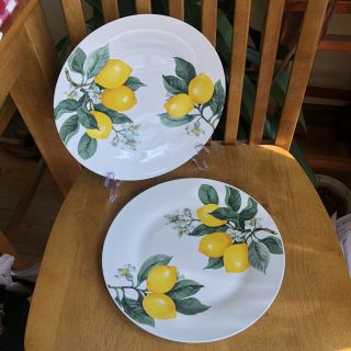 Royal Norfolk Lemon Dinner Plates 10.  5 Inches Set Of 2 Nwt