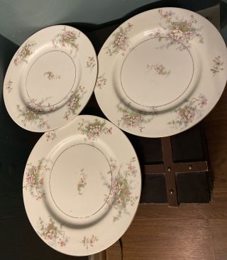 3 Theodore Haviland York Apple Blossoms Dinner Plates 10 Inch