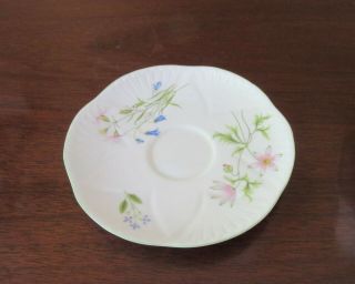 Vintage Shelley Bone China Orphan Saucer Only,  Wild Anemone Pattern,  Cat Rescue