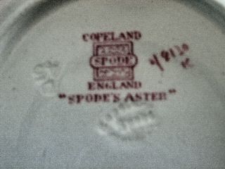 Copeland Spode Aster Cup Saucer Demitasse Crafted England Replacement Porcelain 3