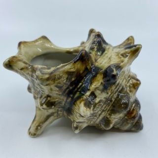 Vintage 3” Tall Ceramic Conch Shell Seashell Planter Sandy Brown Black Hermit