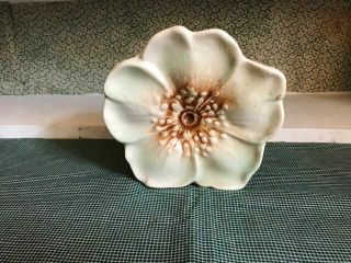 Vintage Mccoy Pottery Vase Wall Pocket Flower Blossom Rustic Line 1940 