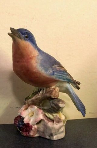 Vintage Royal Worcester Bone China Blue Bird 3649 Made In England