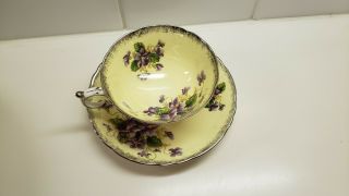 Vintage Paragon Tea Cup & Saucer Set Yellow With Violets Double