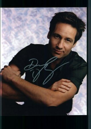 David Duchovny X - Files Mulder Signed 8x10 Photo With