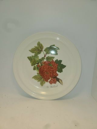 Portmeirion Pomona Dinner Plate 10.  5 " The Red Currant Perfect With Tag