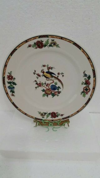 Vintage Syracuse China Dewitt Clinton Bird Of Paradise Dinner Plate 10 1/4 " (b39